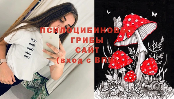 ПСИЛОЦИБИНОВЫЕ ГРИБЫ Баксан