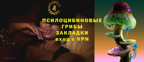 ПСИЛОЦИБИНОВЫЕ ГРИБЫ Баксан