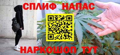 мдпв Гусев