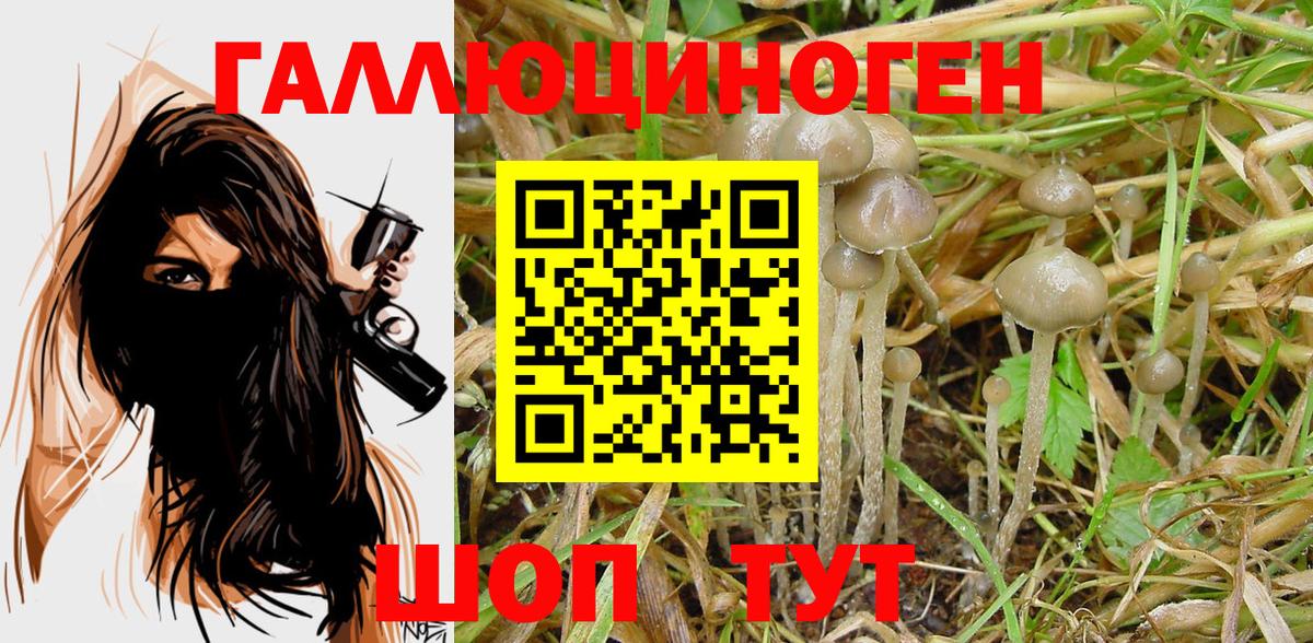 Псилоцибиновые грибы мухоморы Белогорск