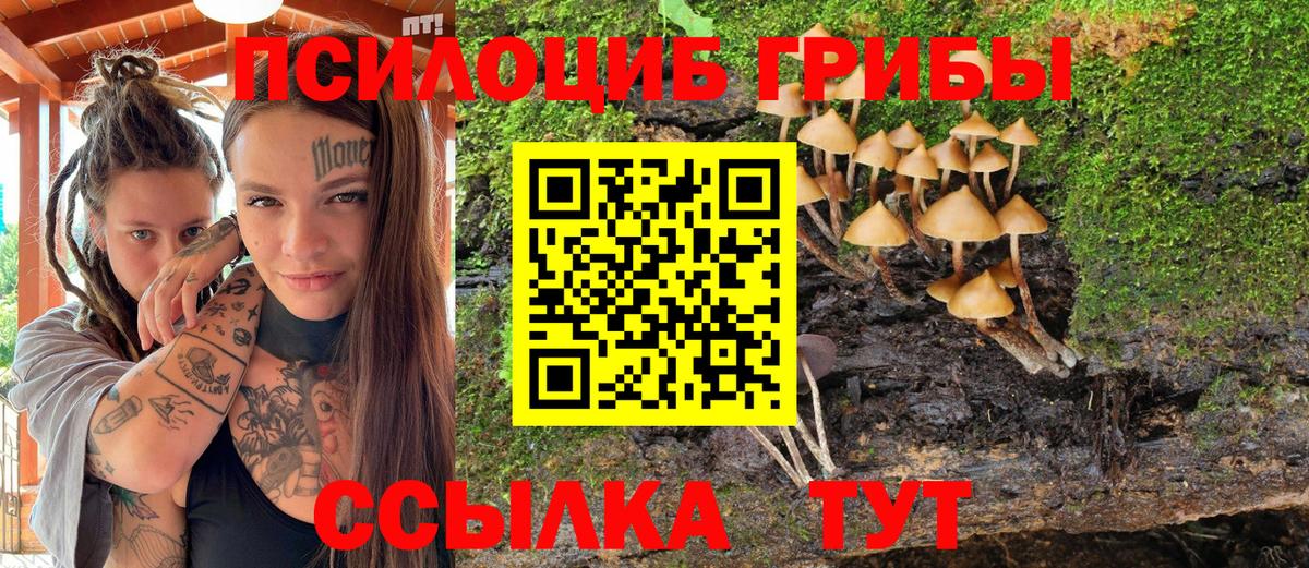 Галлюциногенные грибы Psilocybine cubensis  Вход с VPN  Белогорск 
